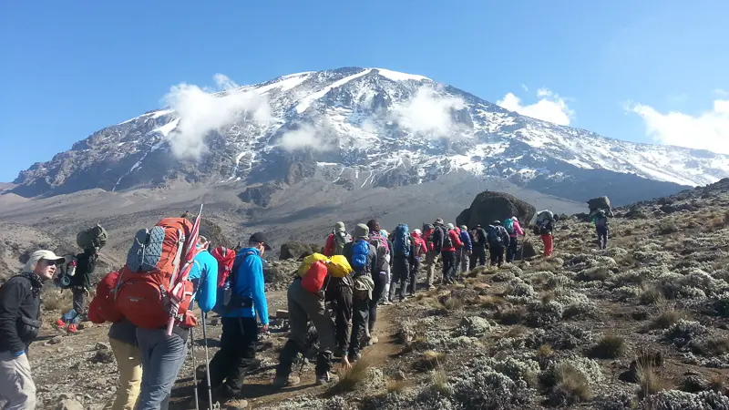 A group of hikers making their way up Mount Kilimanjaro in single file, with the peak towering above them