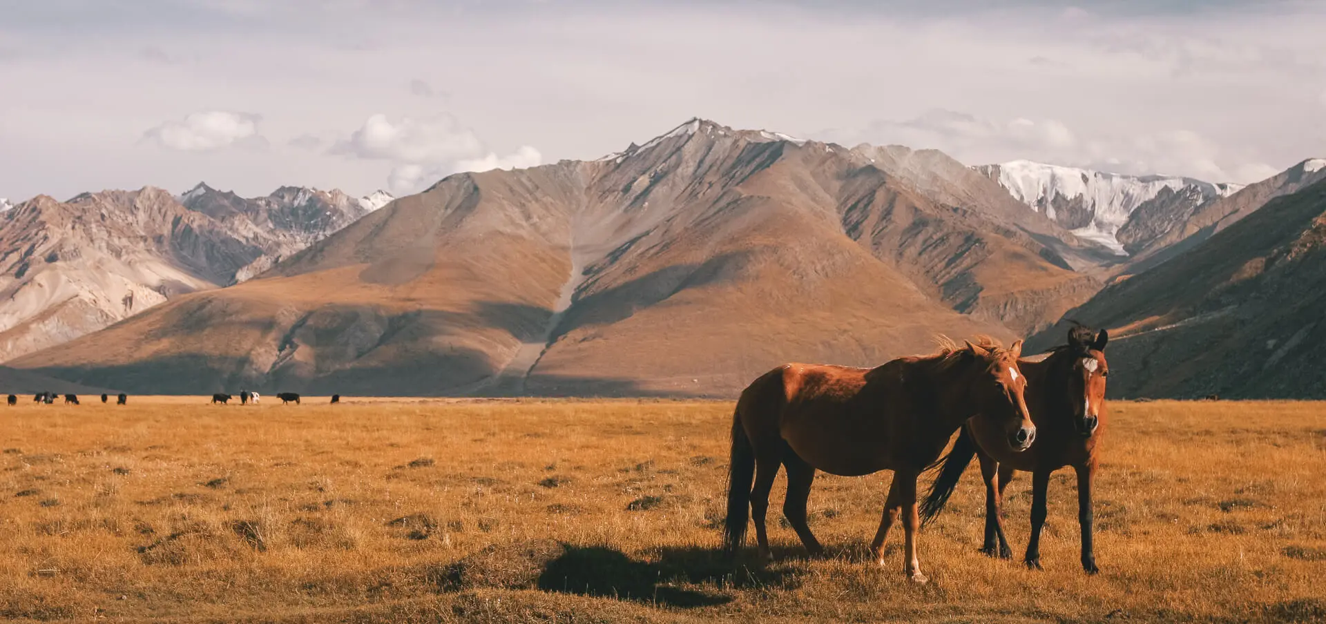 Ladakh Tri Adventure Earths Edge