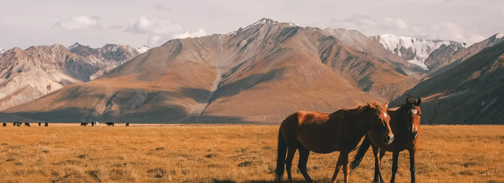 Ladakh Tri Adventure Earth's Edge