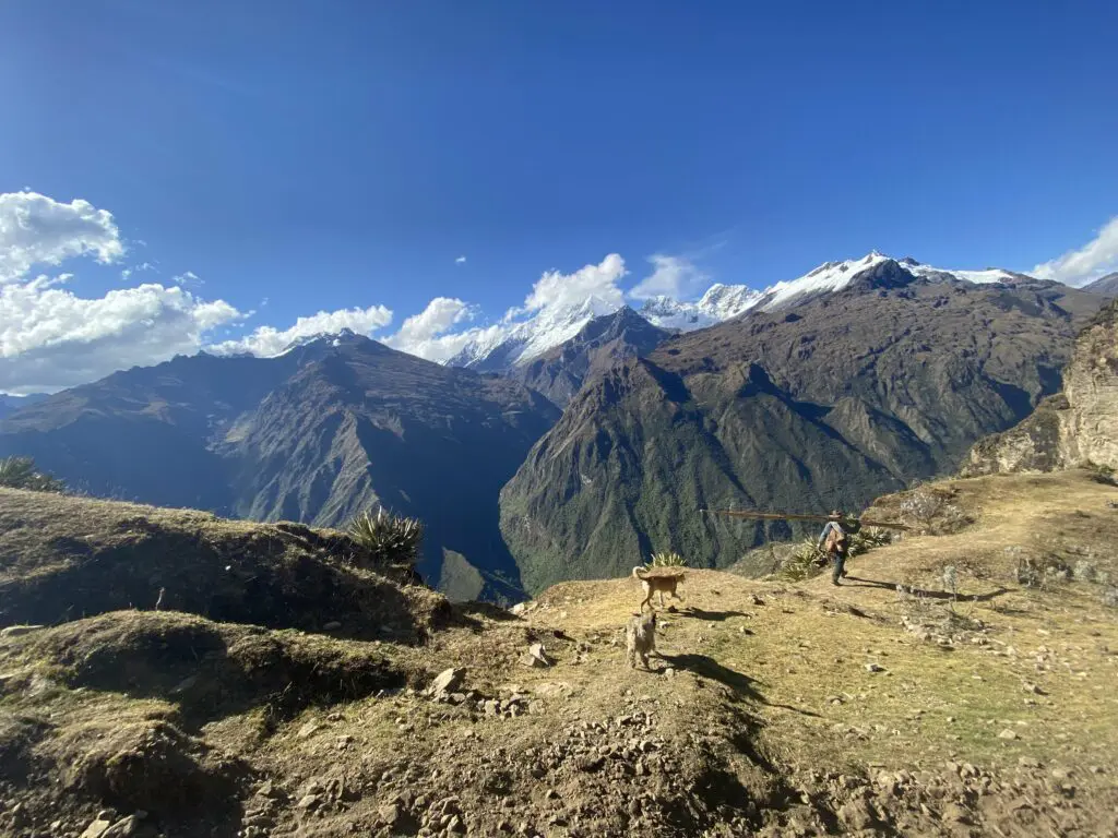 A Peruvian farmer and his dog high up in the Andes