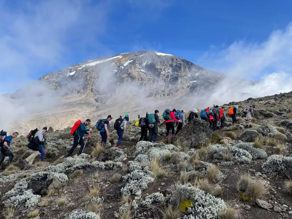 A single line of trekkers climbing mount Kilimanjaro