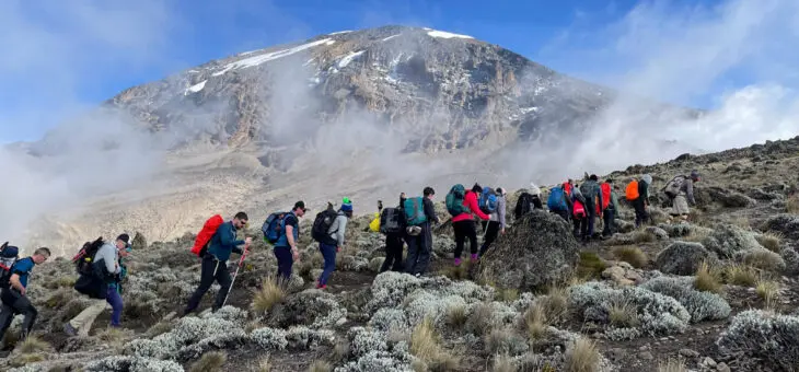 A single line of trekkers climbing mount Kilimanjaro
