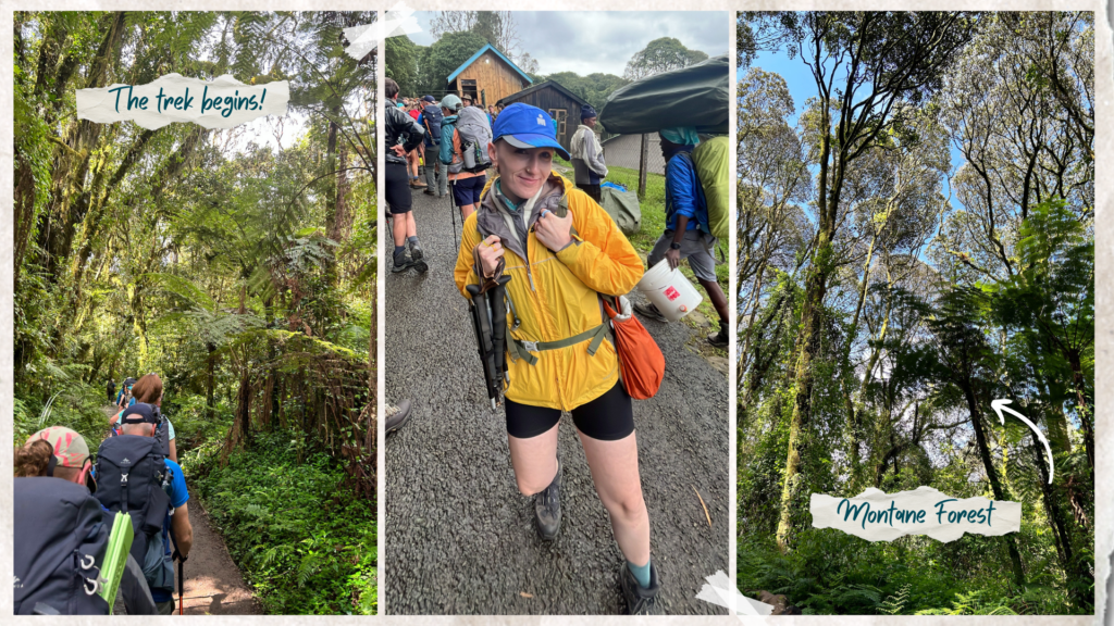 A montage of images from  a Kilimanjaro expedition, Tanzania