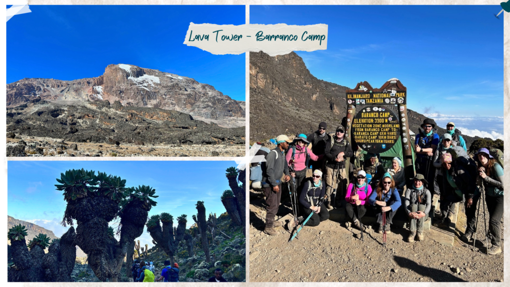 A montage of images from Mount Kilimanjaro, Tanzania