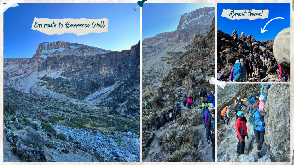 A montage of images from Kilimanjaro, Tanzania