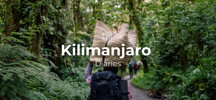 A porter in Kilimanjaro, Tanzania