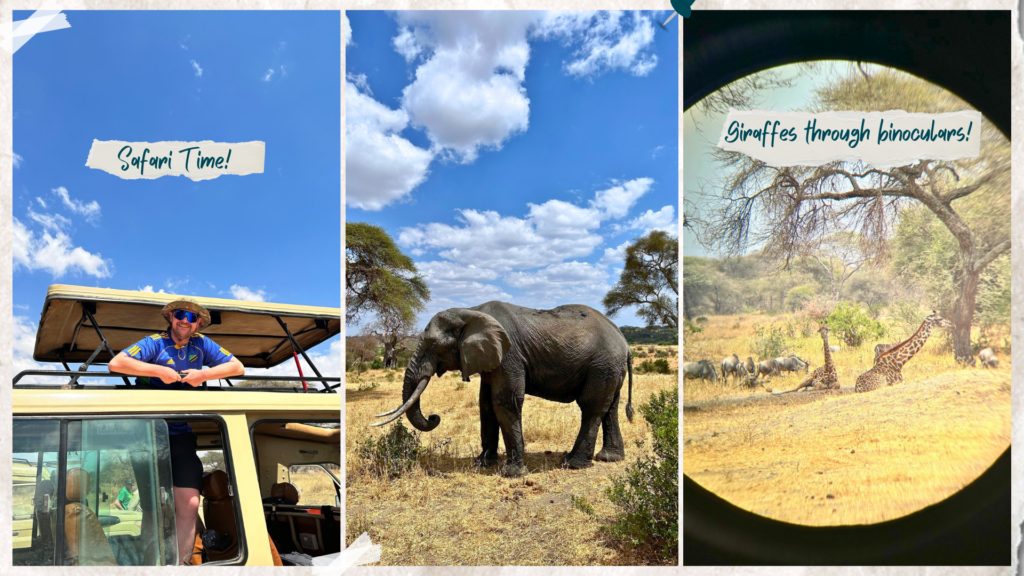 Safari in Tarangire National Park, Tanzania