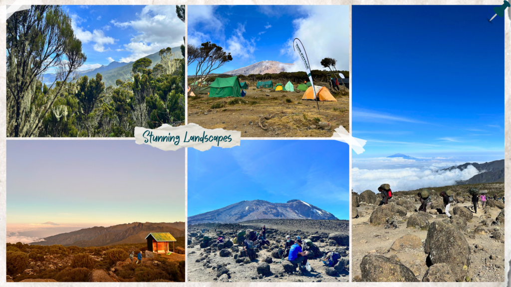 Mt Kilimanjaro, Tanzania