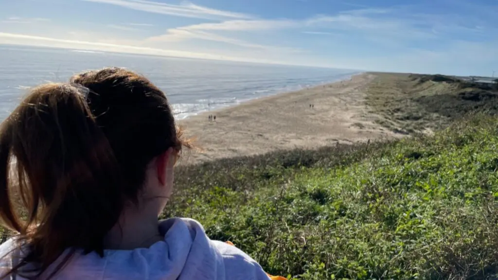 Ciara from Earth's Edge looking out above the beach on a sunny day
