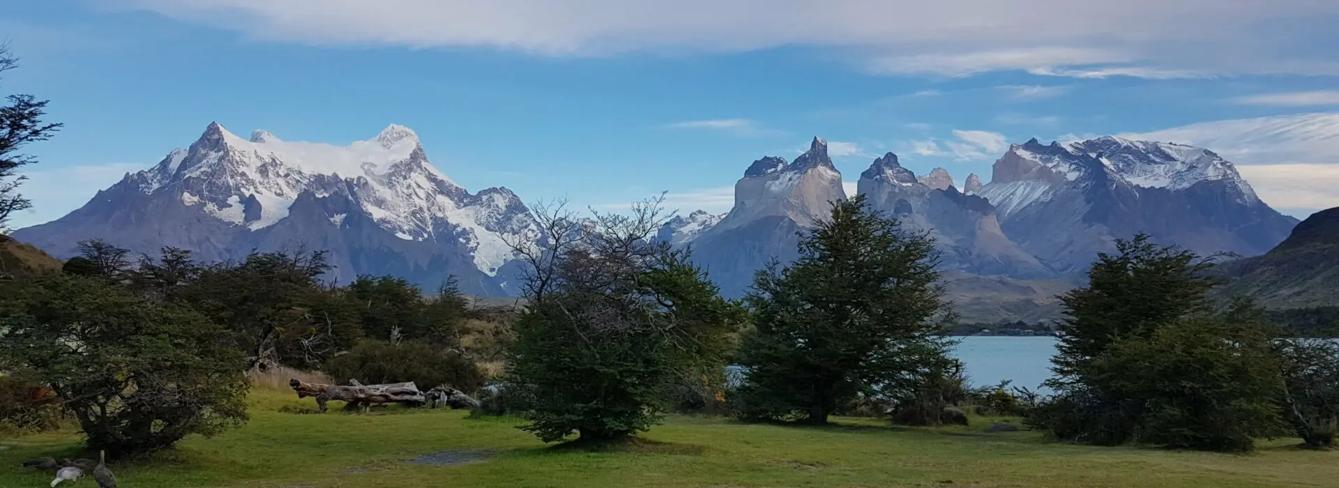 Expansive view of snow-covered mountains and jagged peaks of Torres del Paine rising above lenga forests and open grassland in Patagonia.