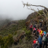 Kilimanjaro Climb | Earth's Edge