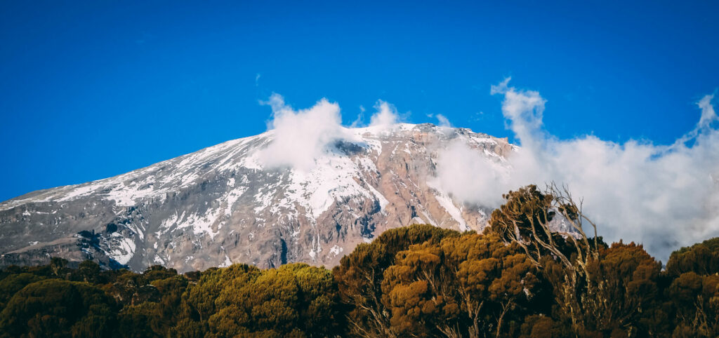 Kilimanjaro Trip with Earth's Edge