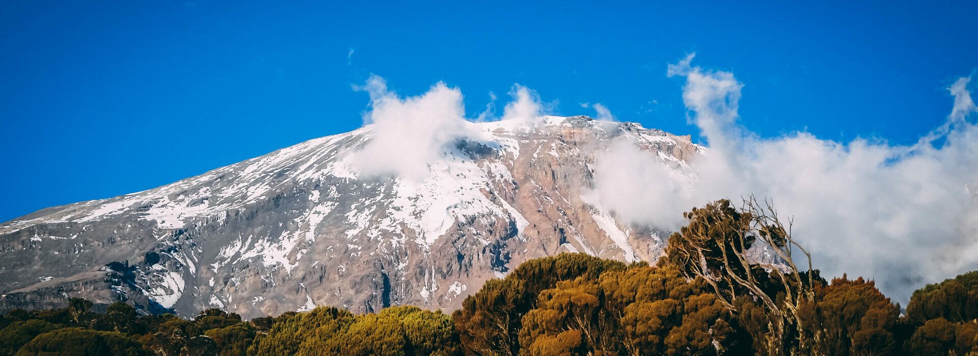 Kilimanjaro Trip with Earth's Edge
