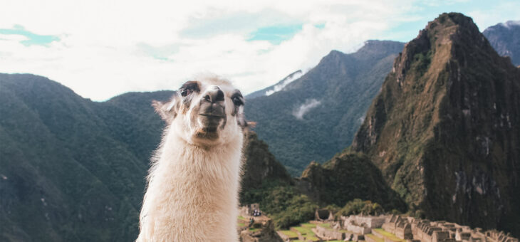 Machu Picchu with Earth's Edge 1