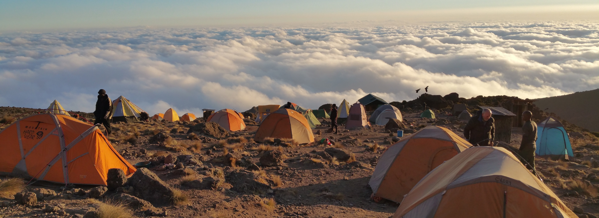 Kilimanjaro with Dermot Whelan and Earth's Edge
