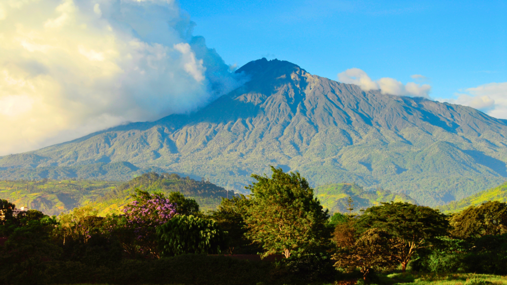 A lush green landscape with a volcanic mountain and clouds in the background.