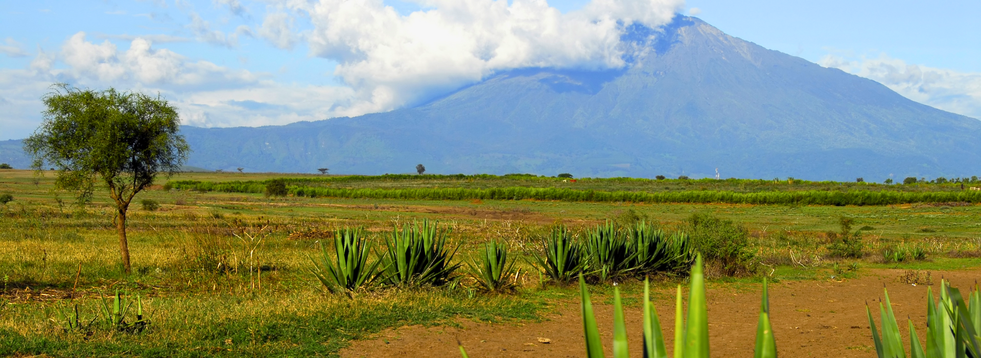 Mt Meru in the distance, Tanzania