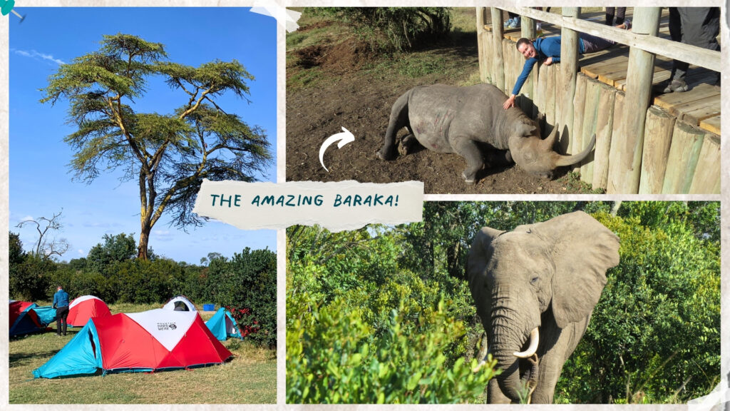 Camping inside Ol Pejeta Conservancy and visiting blind rhino Baraka before spotting elephants on our second safari