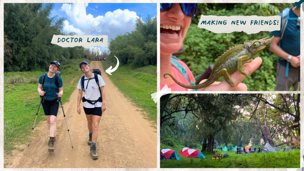 Hiking to Chogoria Camp in the foothills of Mount Kenya, spotting a horned chameleon on the trail