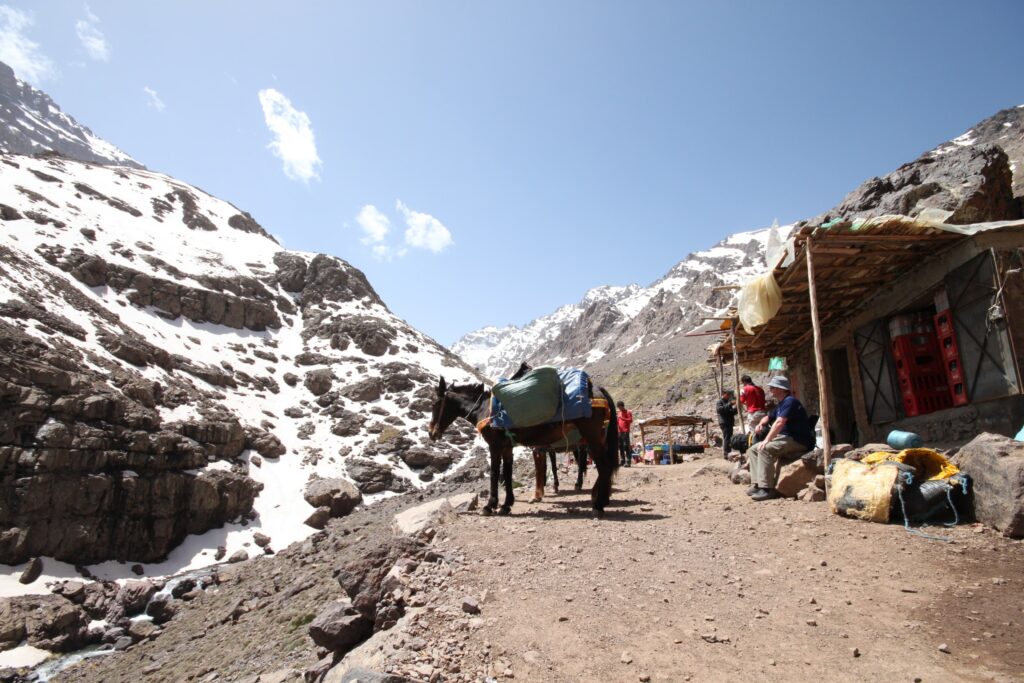 A mule and trekkers taking a rest break along a snowy section of the Mount Toubkal Circuit, Morocco