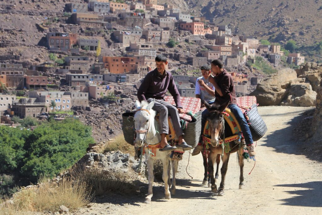 Mount Toubkal Circuit expedition team porters on mules trasnporting luggage along the trail, Morocco