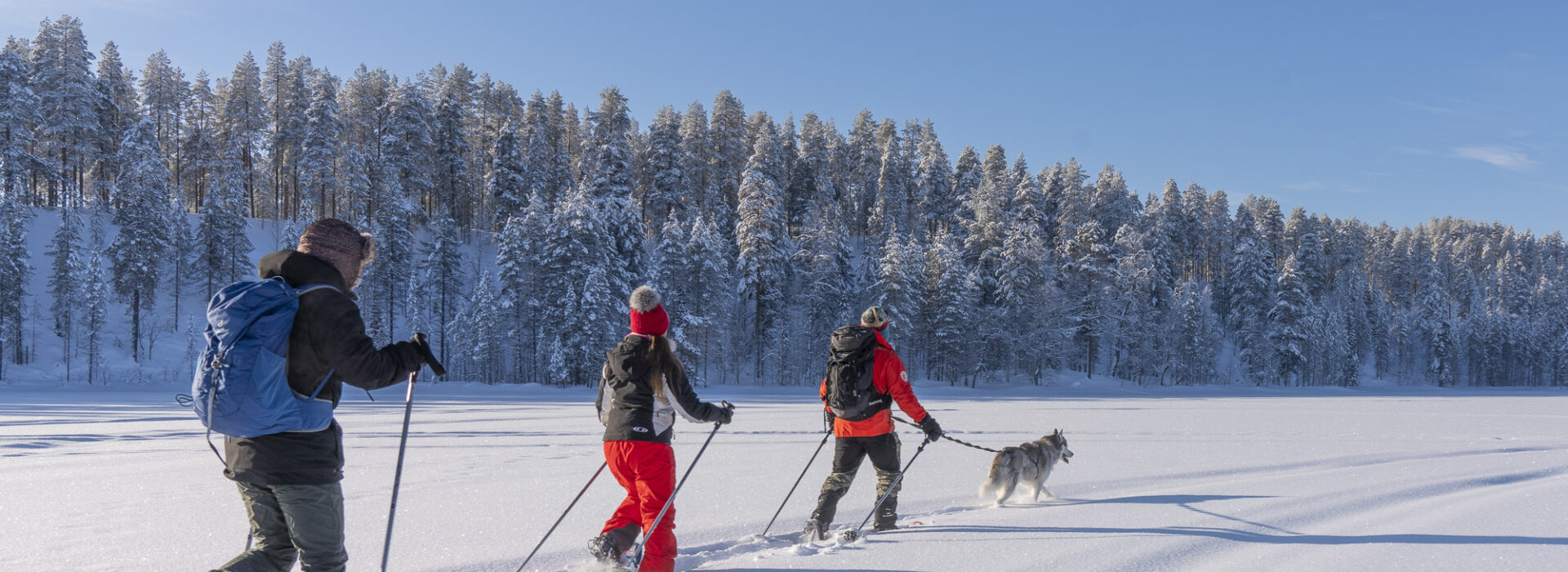 Three people snowshoeing through deep snow in Syöte National Park surrounded by snow covered trees and a clear blue sky