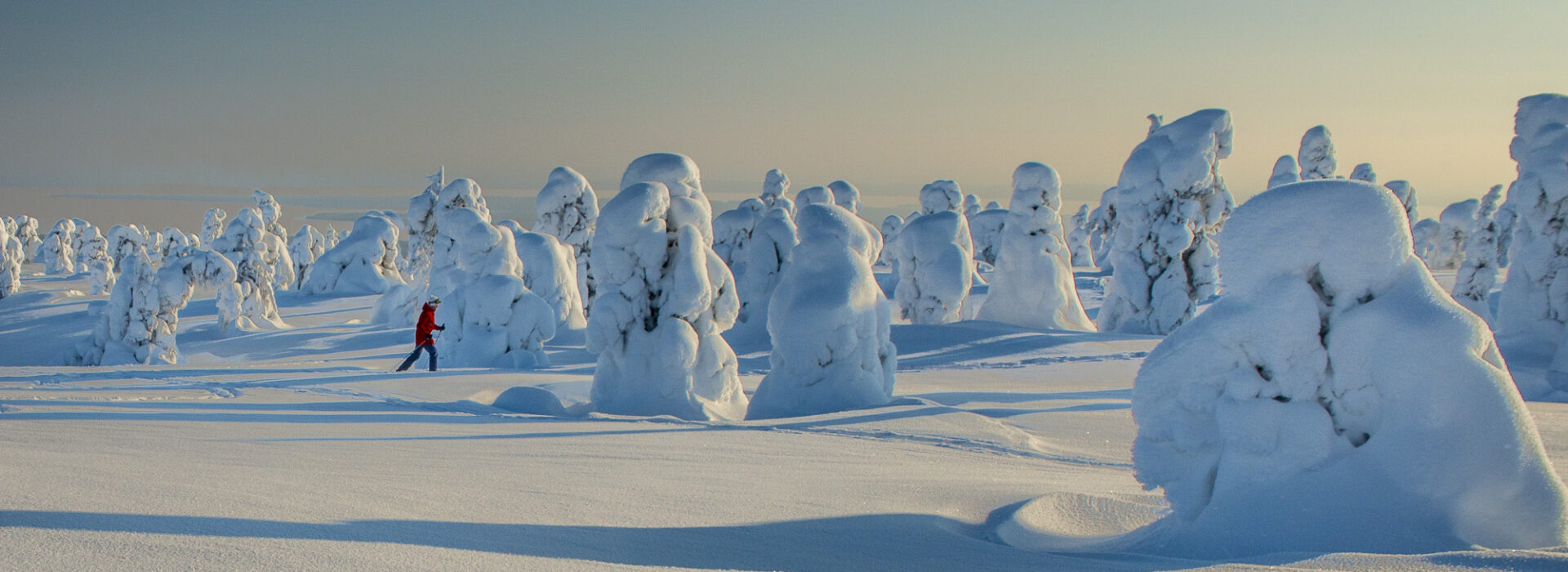 Snow-covered trees in a vast winter Arctic landscape in Finland under a clear blue sky, with a person in a red jacket walking in the distance.