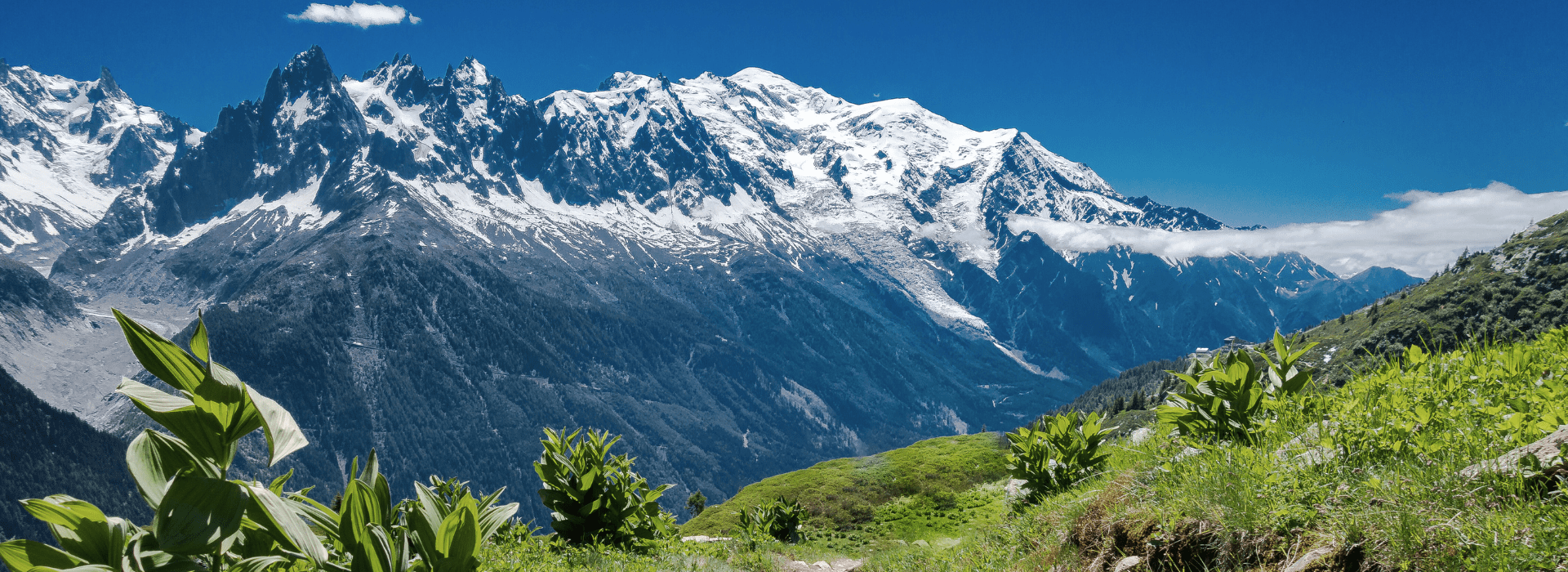 Scenic alpine hiking trail above Chamonix Valley with views of the Mont Blanc massif