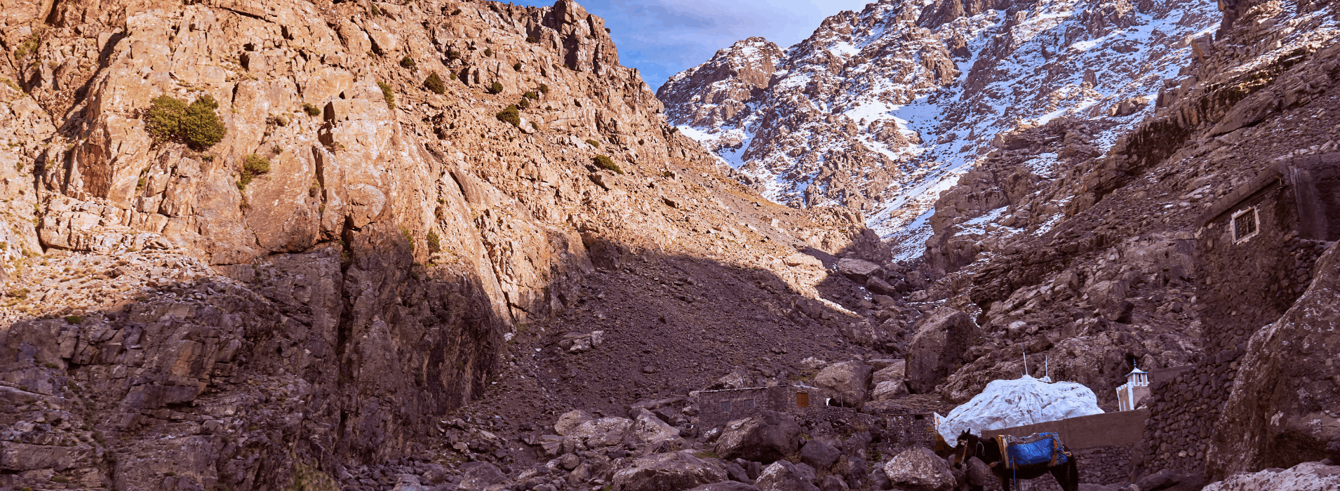Pack animals carrying supplies along a rocky mountain trail on the approach to Mount Toubkal